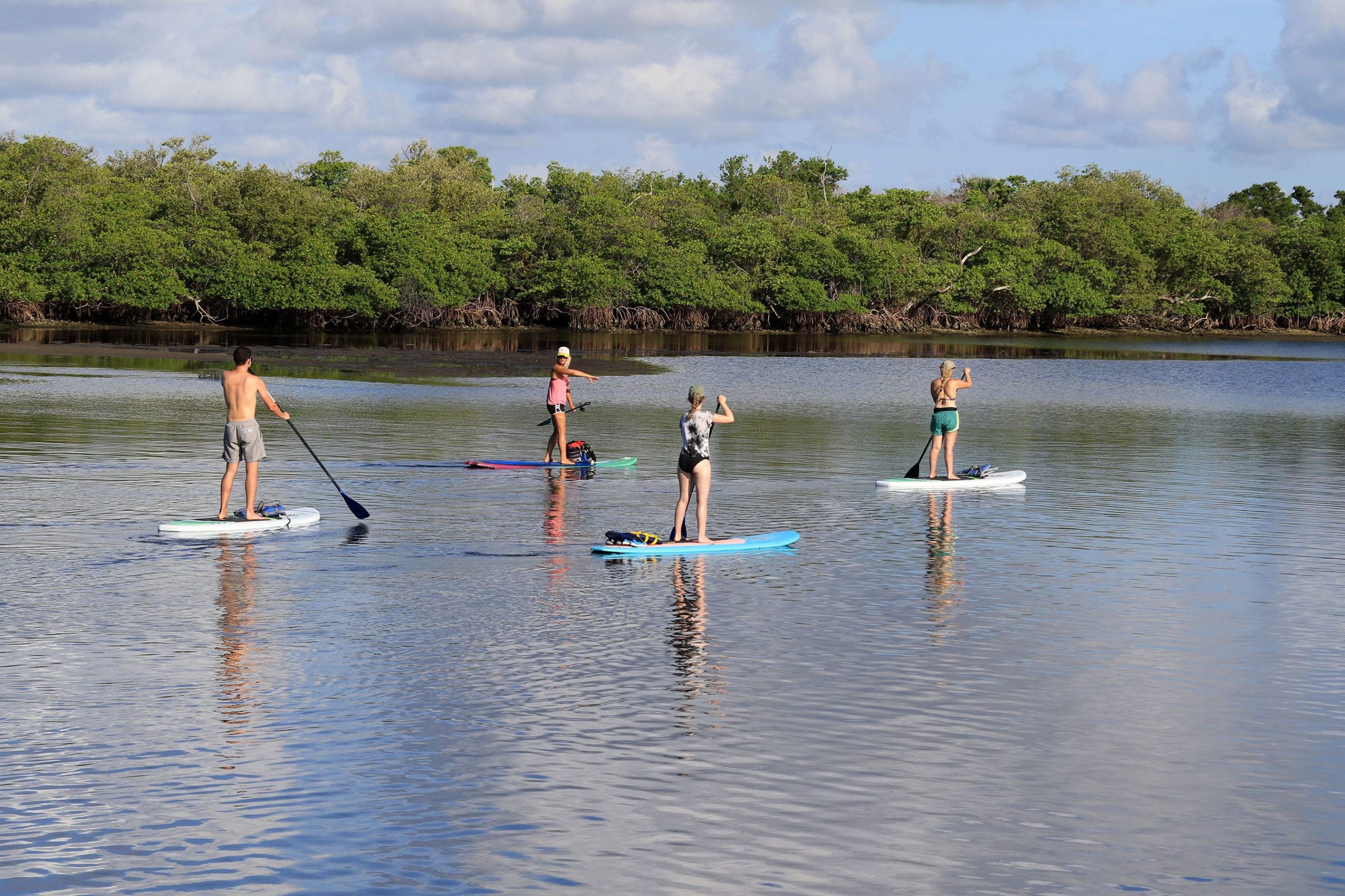 Paddle Boarders